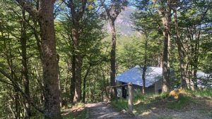 Bosque Camping La Encantada